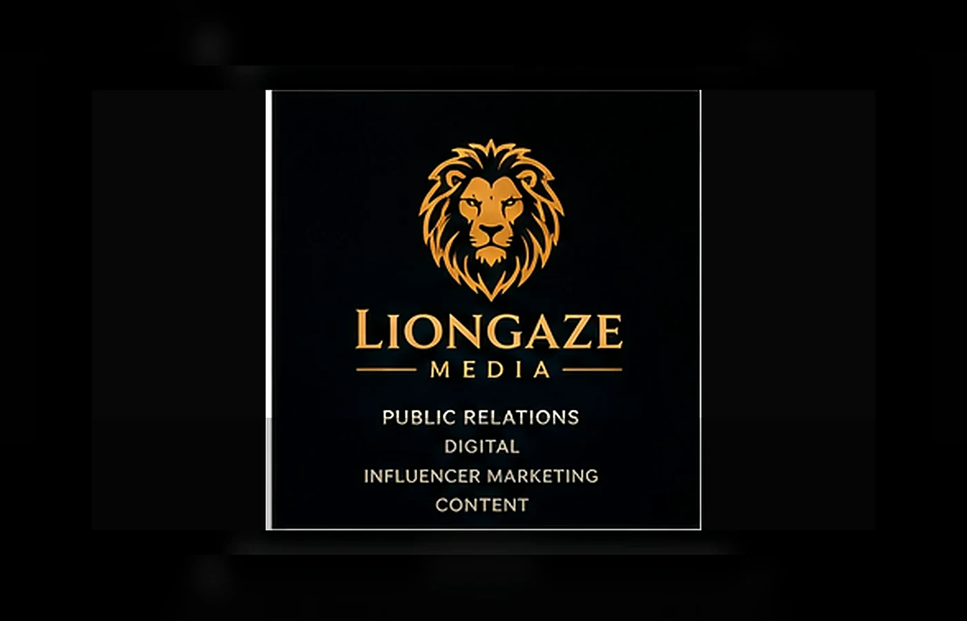 liongaze media experience overview
